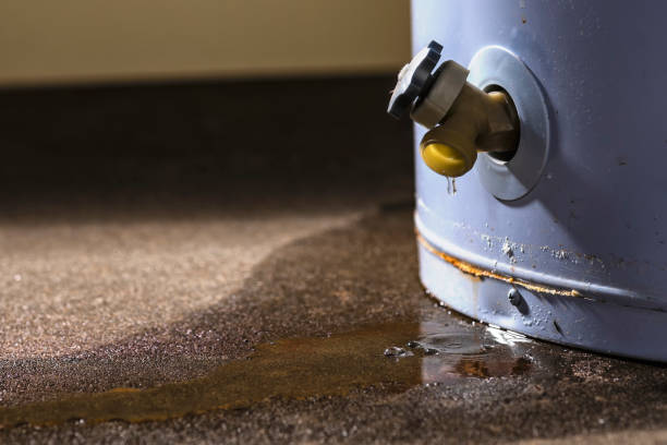 Best Local water damage restoration  in Colfax, LA