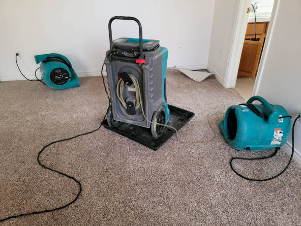 Best Fire Damage Restoration  in Colfax, LA