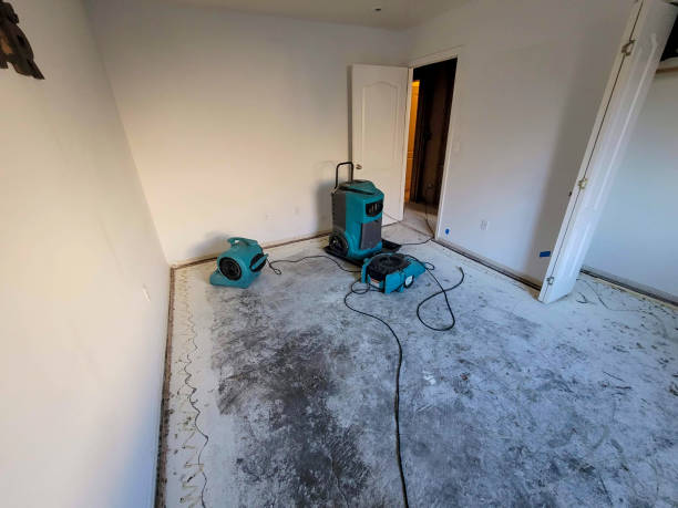 Best Ceiling water damage repair  in Colfax, LA