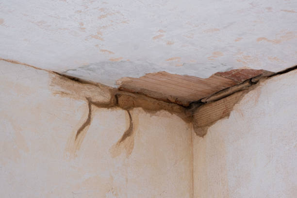 Best Water damage repair service  in Colfax, LA