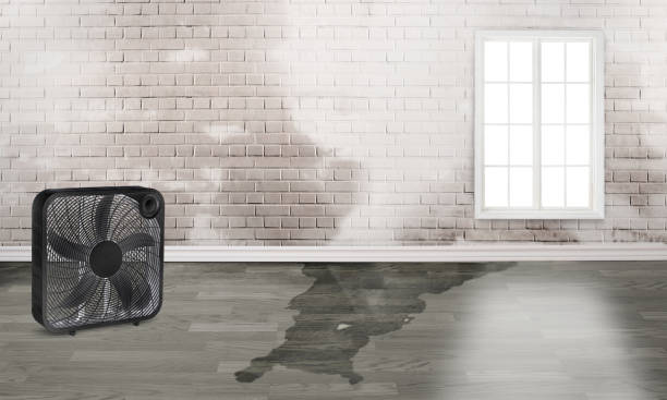 Water damage restoration mold remediation in LA