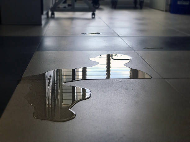 Best 24-hour water damage restoration  in Colfax, LA