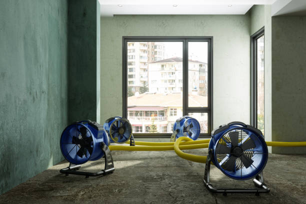Best Water damage restoration near me  in Colfax, LA
