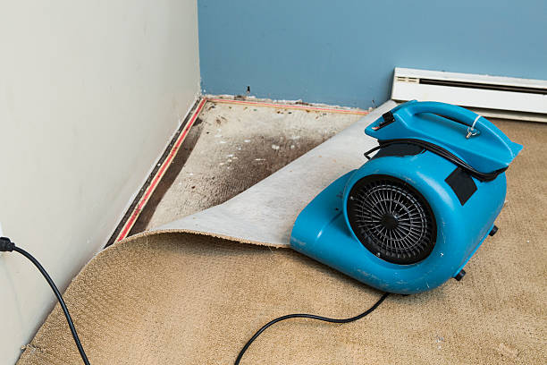 Best Residential water damage restoration  in Colfax, LA